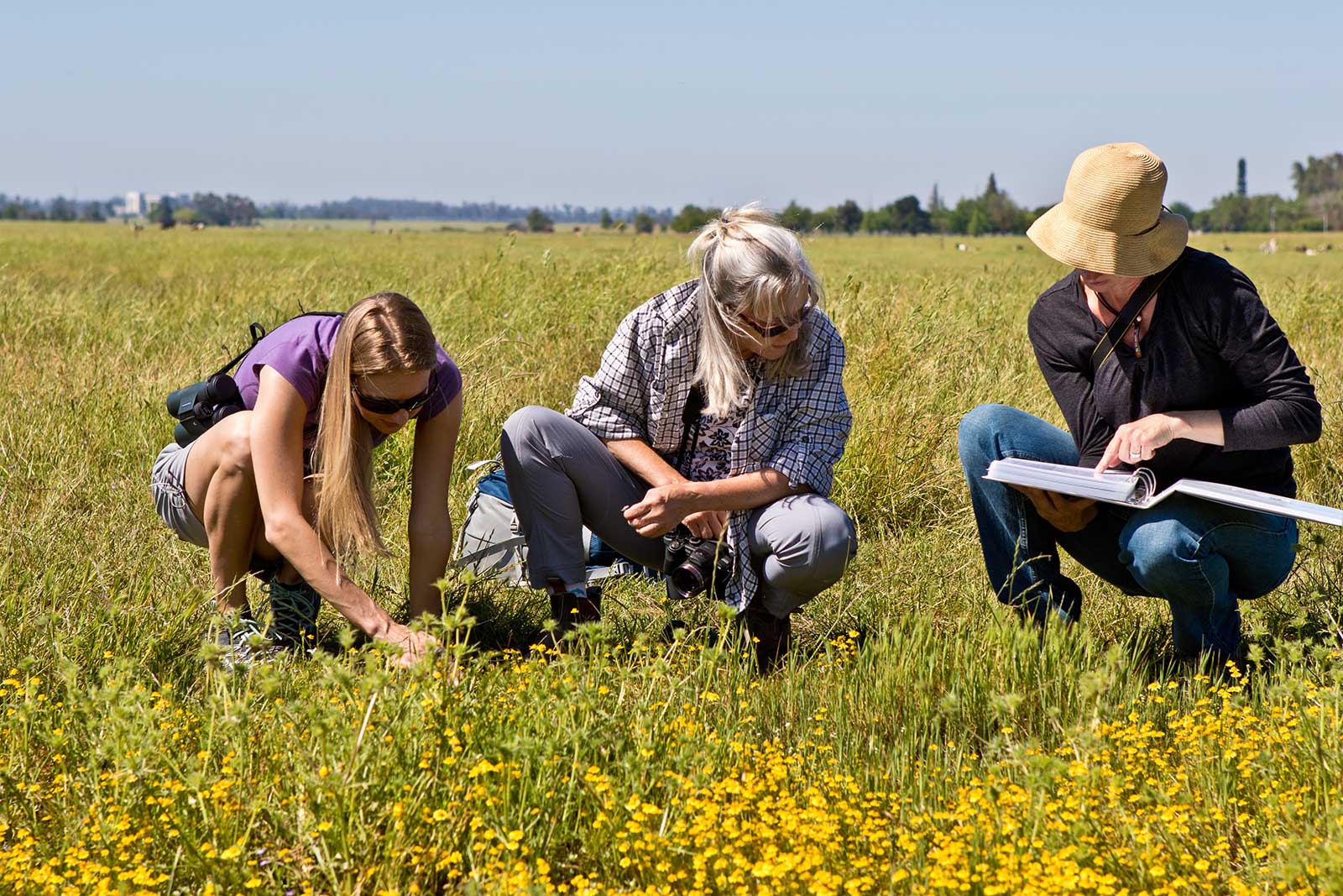 Research: Merced Vernal Pools and Grassland Reserve