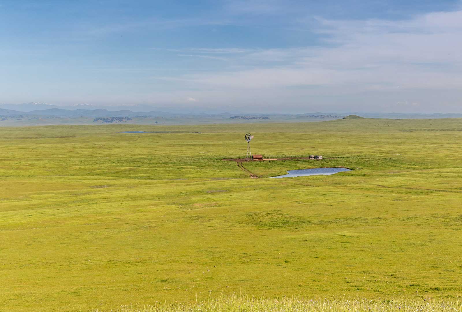 Merced Vernal Pool and Grassland Reserve
