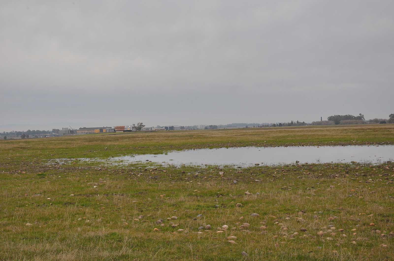 Vernal pools