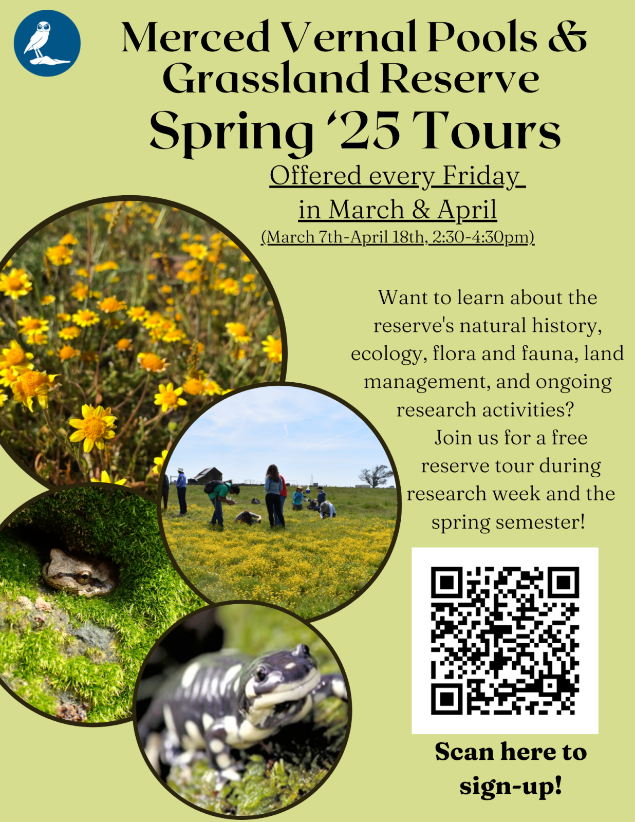 Spring Tour