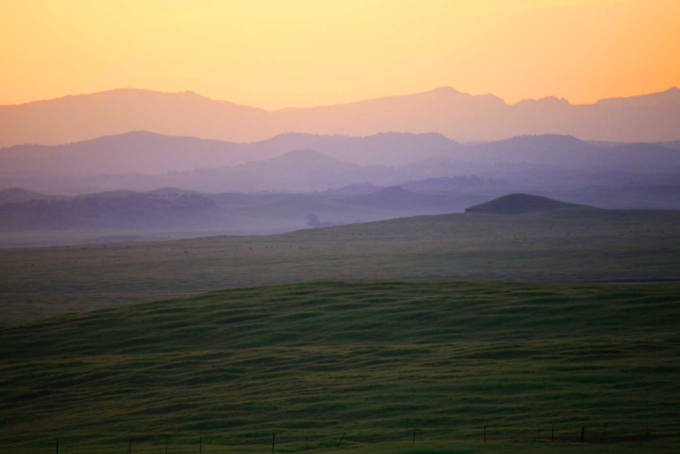 Merced Vernal Pool and Grassland Reserve