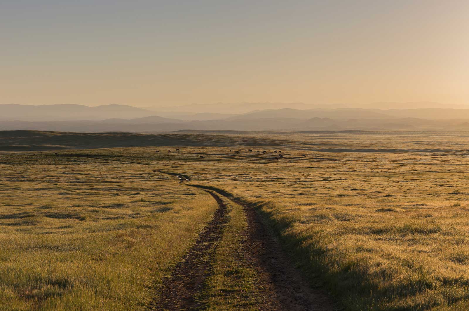 Merced Vernal Pools and Grassland Reserve